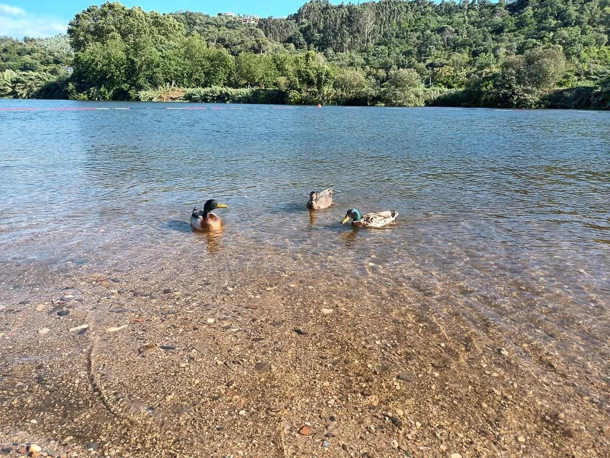 Familiahorta Lägenhet Coimbra